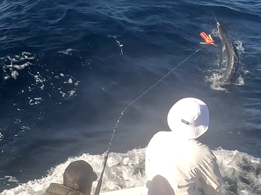 Ambition Report 6th.October’25