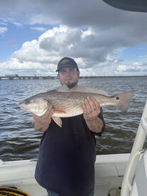 Dauphin Island Report Photo 1