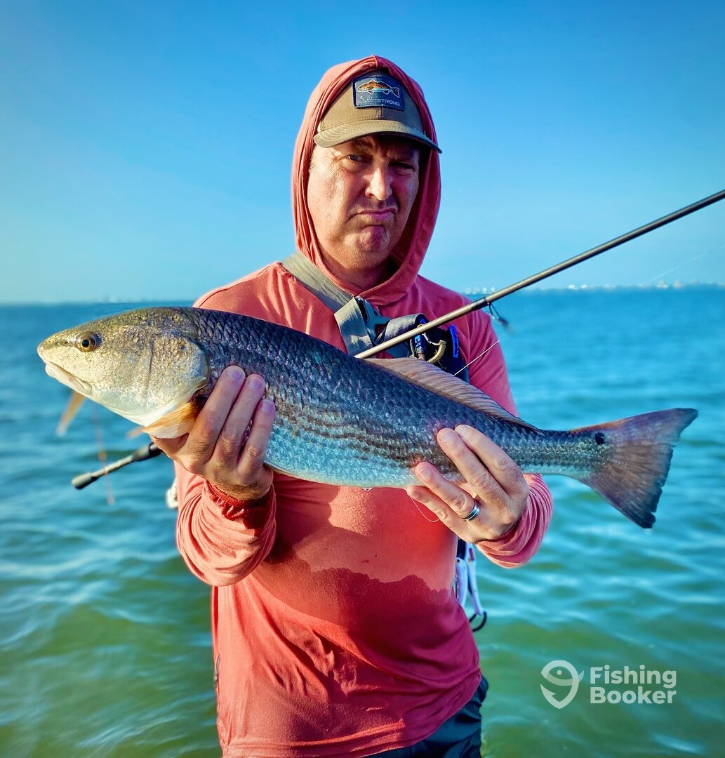 Palmetto Report Photo 0