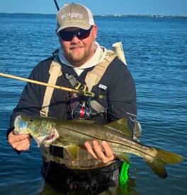 Palmetto Report Photo 2