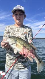 Branson Report Photo 1