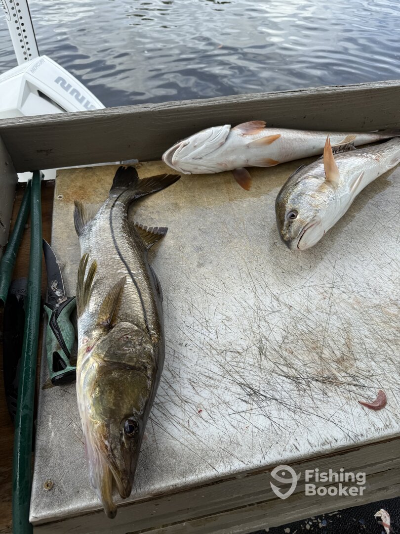 Everglades City Report Photo 0