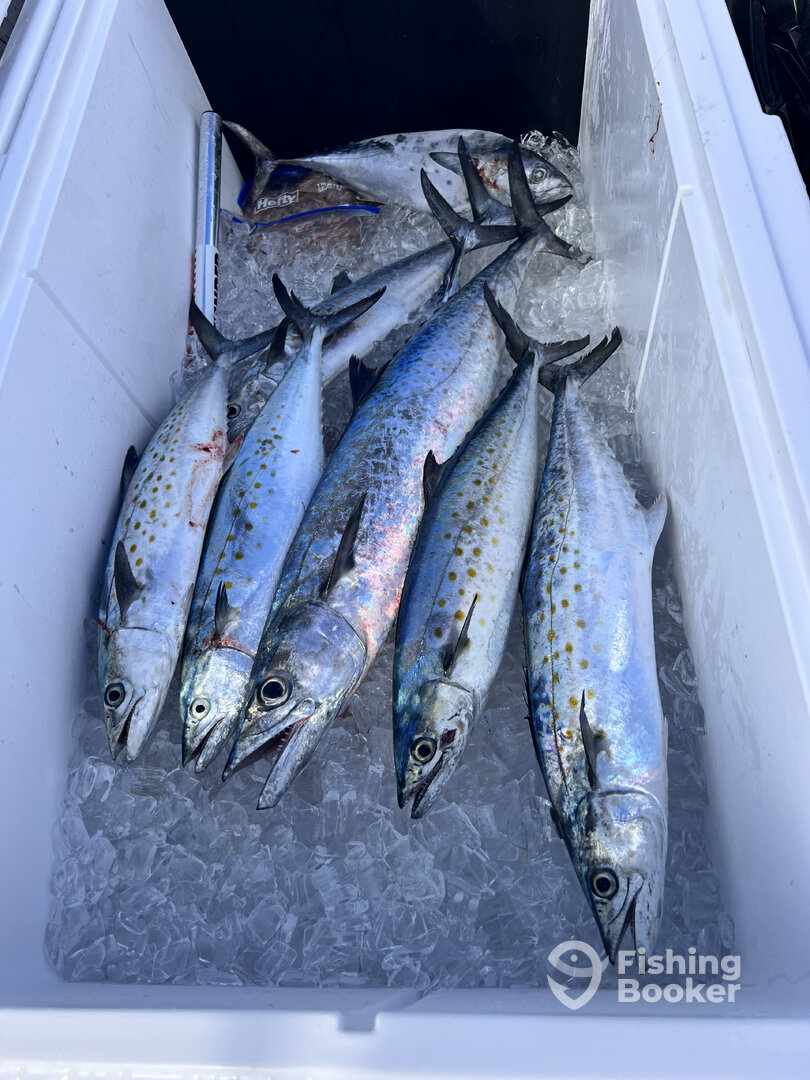 Miami Report Photo 0