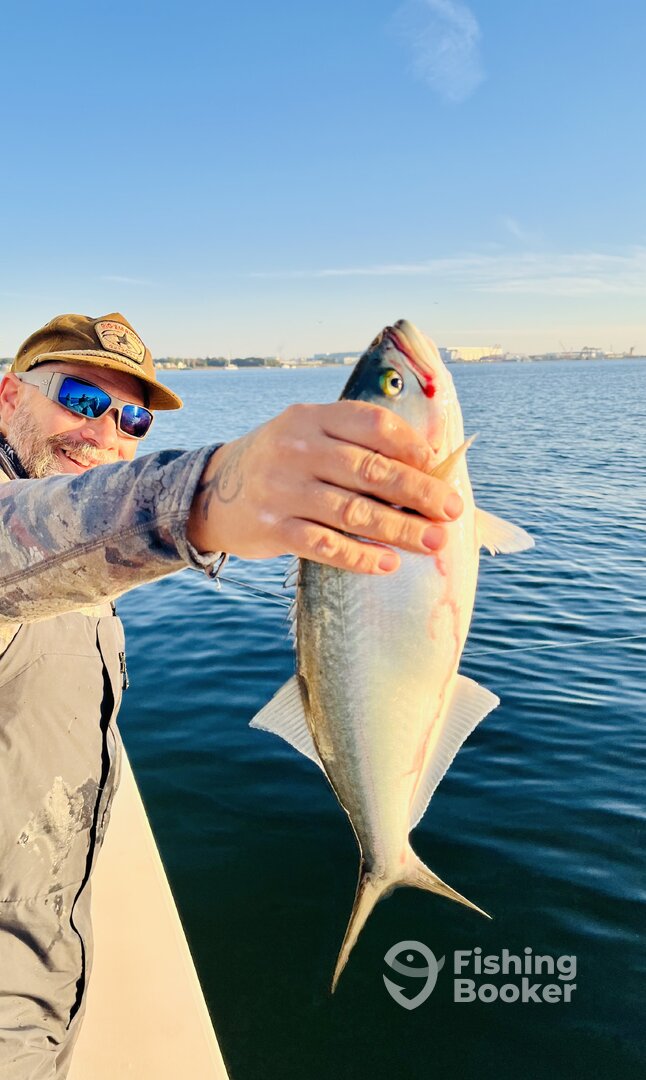 Narragansett Report Photo 0