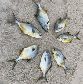 Pompano time! 