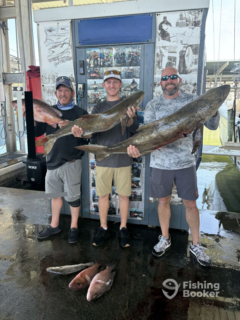 Galveston Report Photo 0