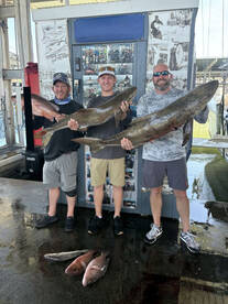 Fall federal Offshore October 2025