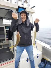 Whitefish action