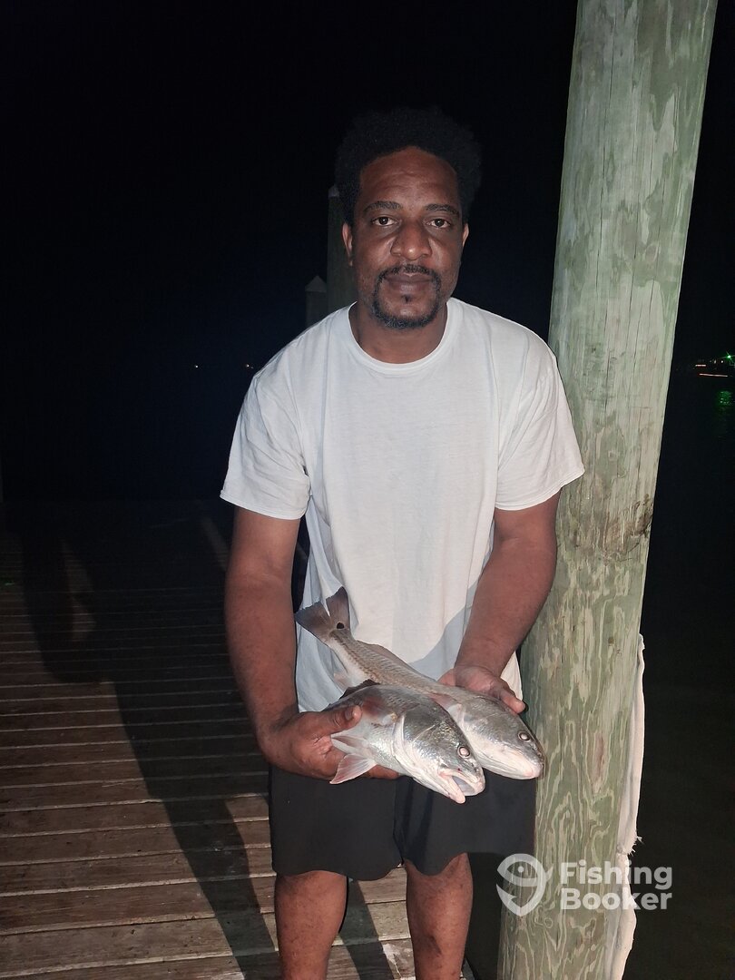 Sneads Ferry Report Photo 0