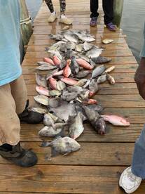 Atlantic Beach Report Photo 1