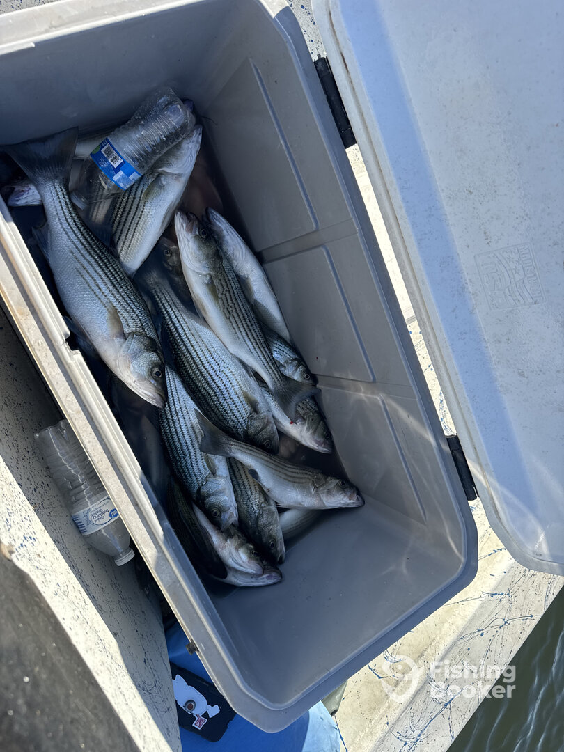 Pottsboro Report Photo 0