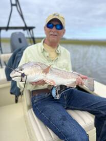 Savannah Report Photo 1