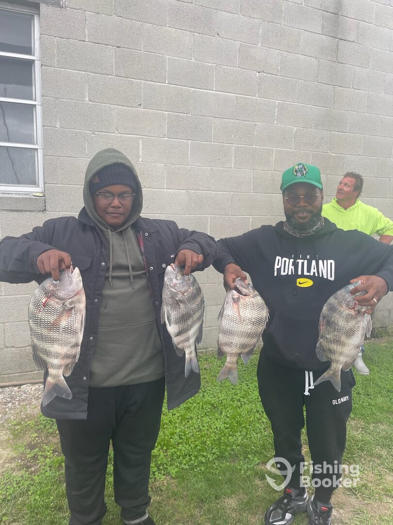 Seaford Report Photo 0