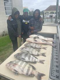 Seaford Report Photo 2