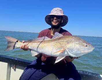 Galveston Report Photo 2