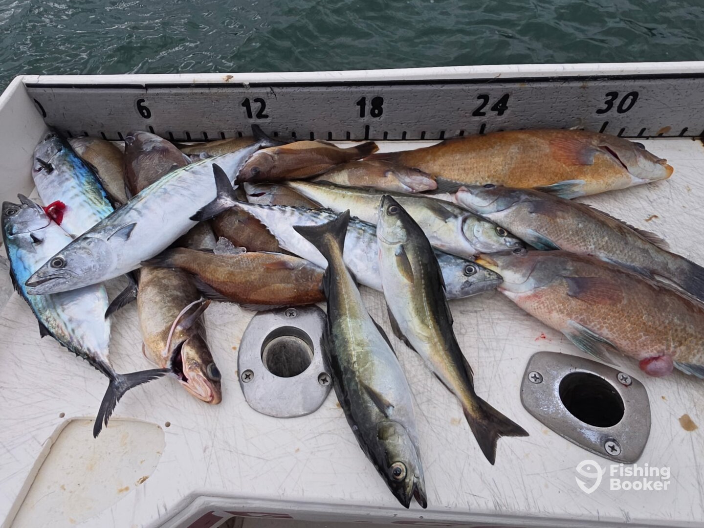 Boston Report Photo 0