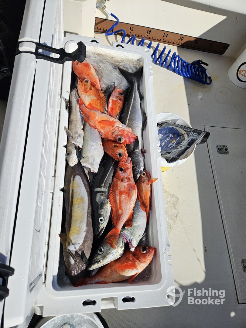 Boston Report Photo 0