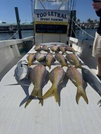 Key West Report Photo 2