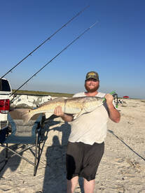 Creole Report Photo 2