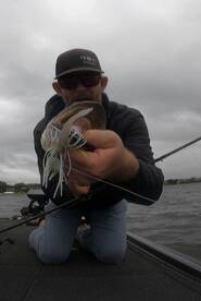 Orlando Report Photo 2