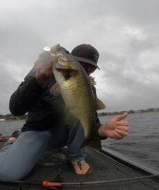 Orlando Report Photo 1