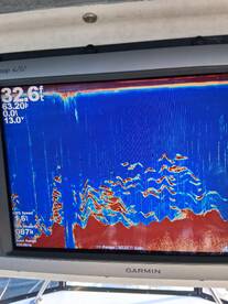 OCTOBER 12 , 2025 water 65- 68 degrees G