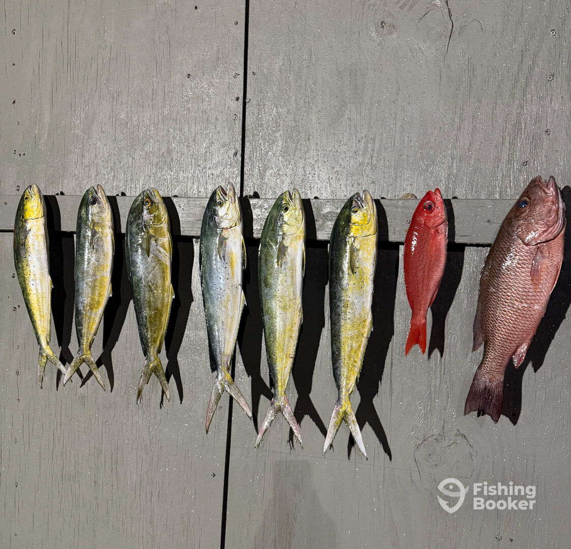 Niceville Report Photo 0