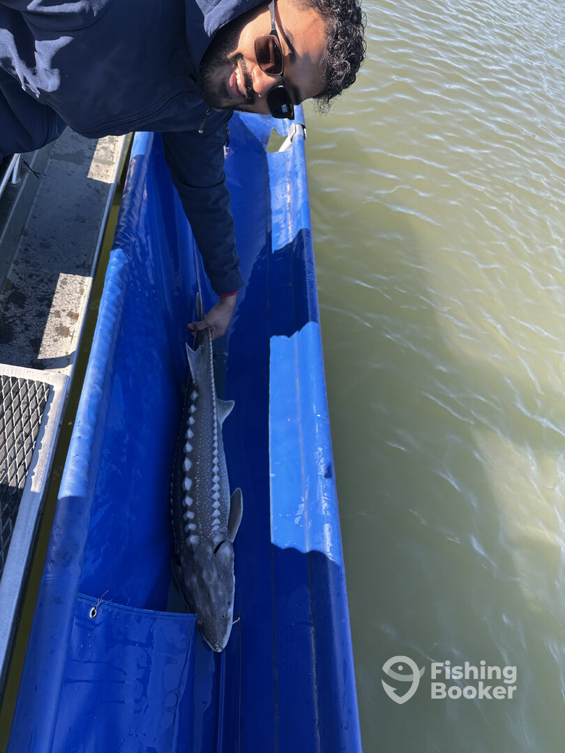 Harrison Lake Report Photo 0