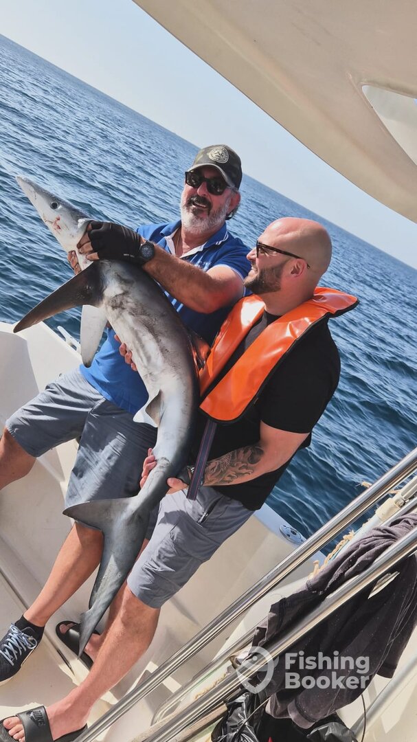 Alvor Report Photo 0