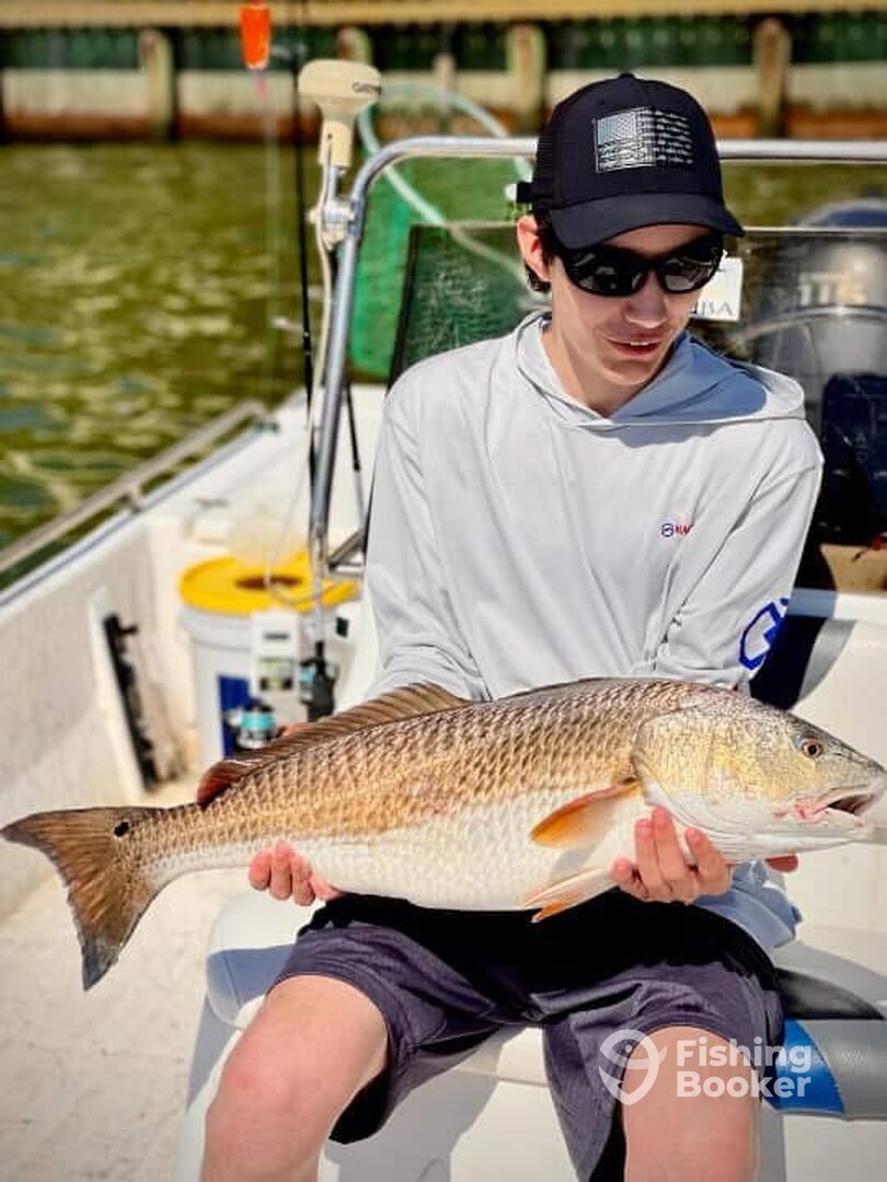 Houston Report Photo 0