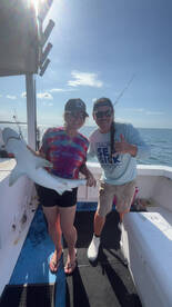 It’s on in The Bay. 