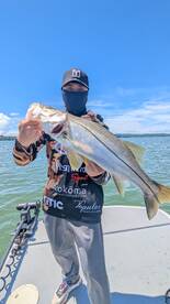 Gamboa Report Photo 1