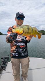 Gamboa Report Photo 2