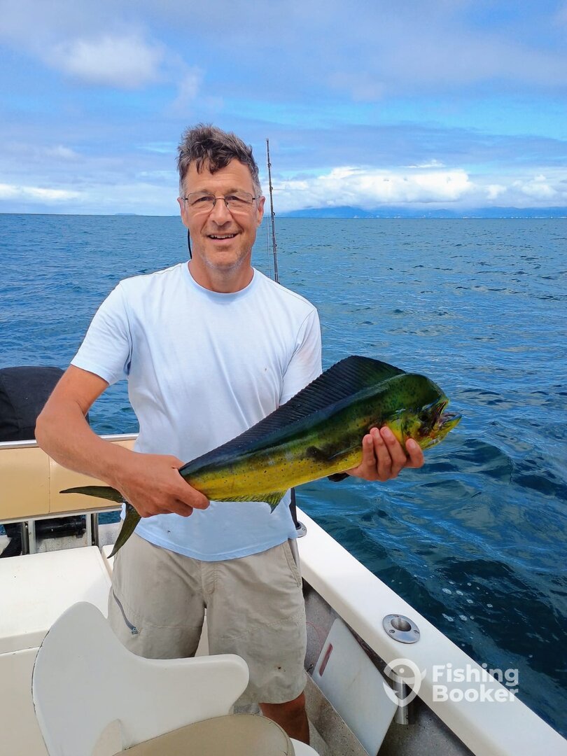 Puerto Vallarta Report Photo 0