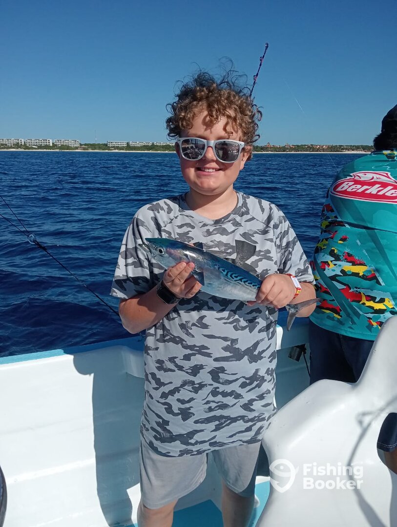 Playa Del Carmen Report Photo 0