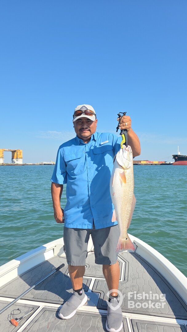 Port Aransas Report Photo 0