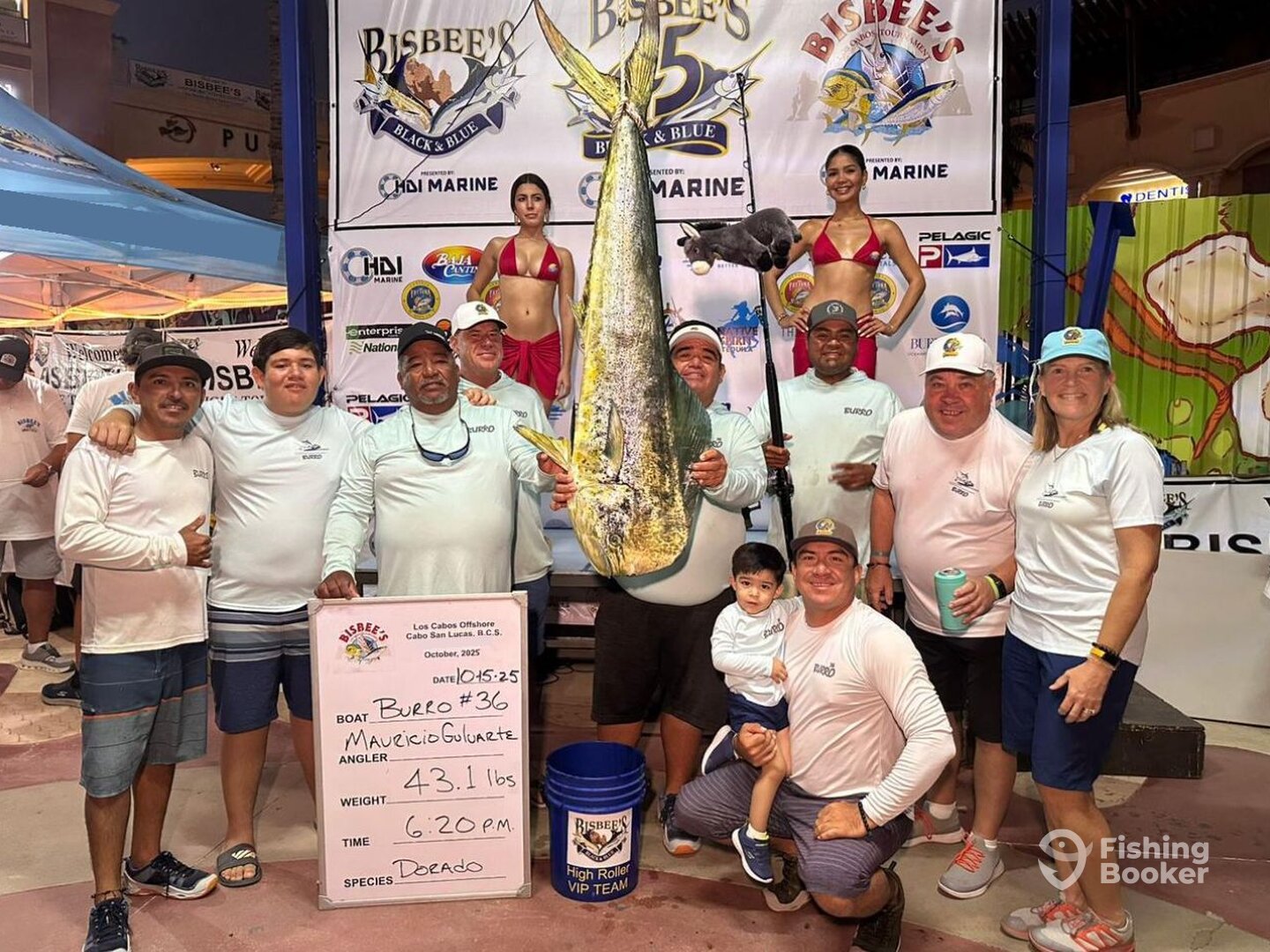 San Jose del Cabo Report Photo 0