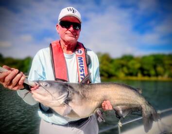 19 lber