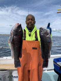 Little Compton Report Photo 1