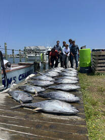 Nags Head Report Photo 2