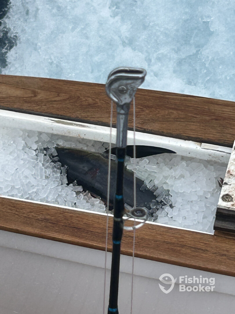 Nags Head Report Photo 0