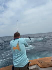 September Marlin and Mahi