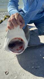 REDINGTN SHOR Report Photo 1