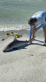 REDINGTN SHOR Report Photo 2