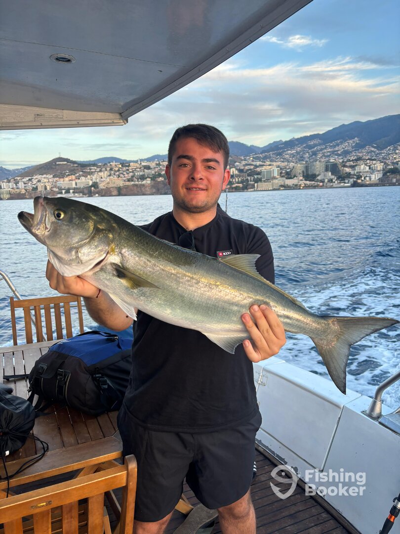 Funchal Report Photo 0