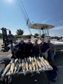 Little Elm Report Photo 2