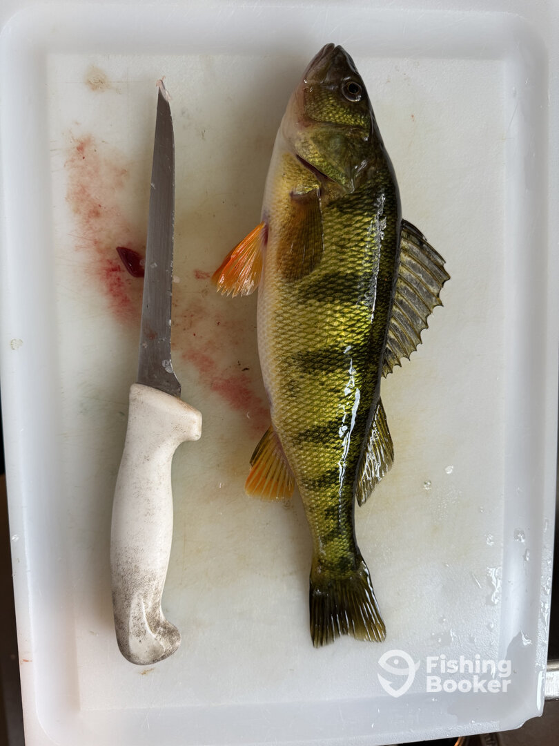 Traverse City Report Photo 0