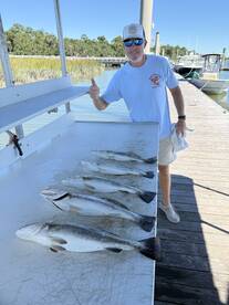 Hilton Head Island Report Photo 2