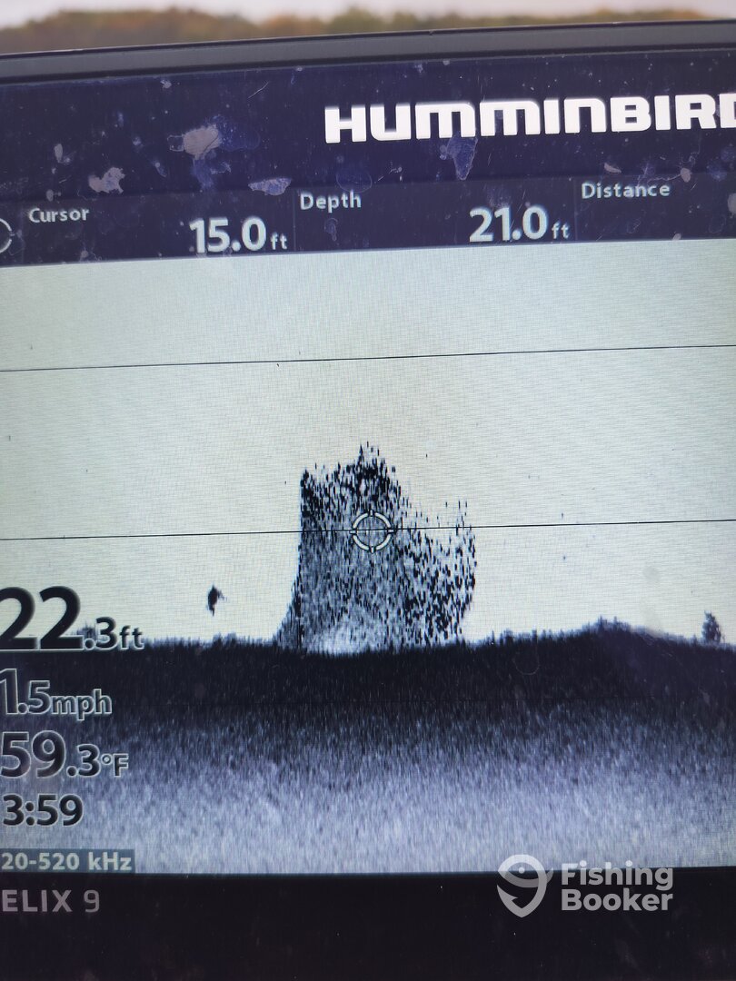 Mille Lacs Report Photo 0