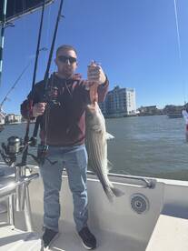 Rocktober has arrived! 